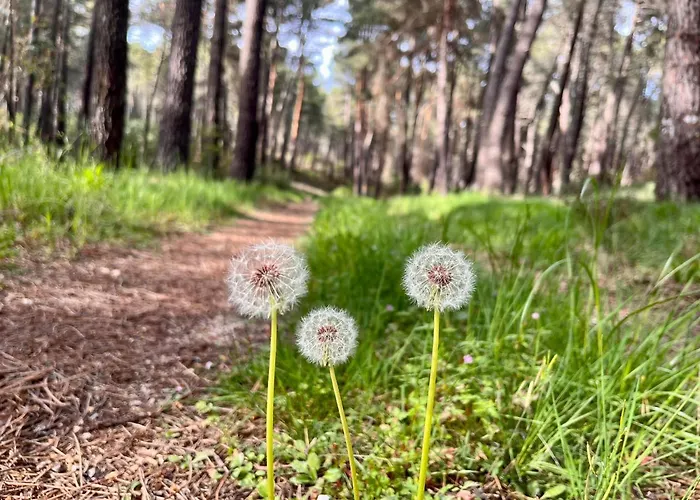 El Arrenal Del Canon Del Rio Lobos Santa Maria de las Hoyas