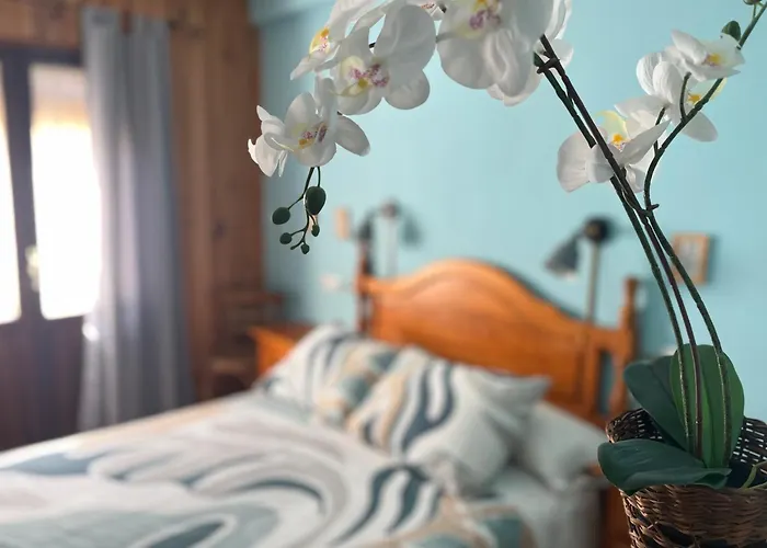 El Arrenal Del Canon Del Rio Lobos Santa Maria de las Hoyas